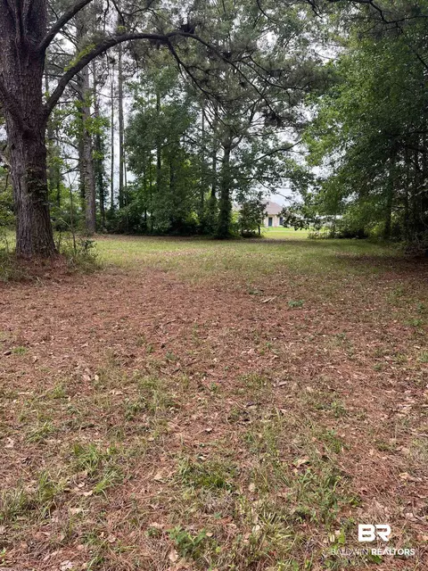 Ward Road, Stapleton, AL 36527 photo 5
