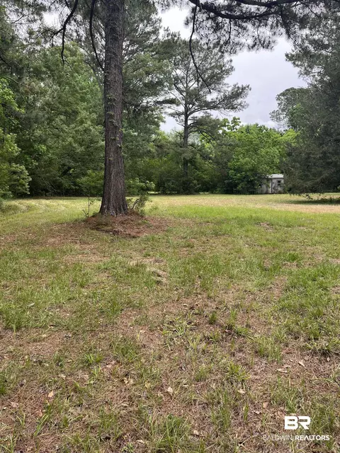 Ward Road, Stapleton, AL 36527 photo 3
