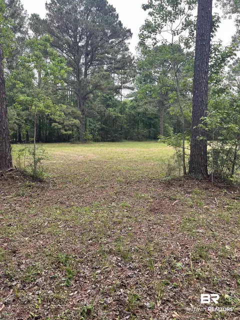 Ward Road, Stapleton, AL 36527 photo 7