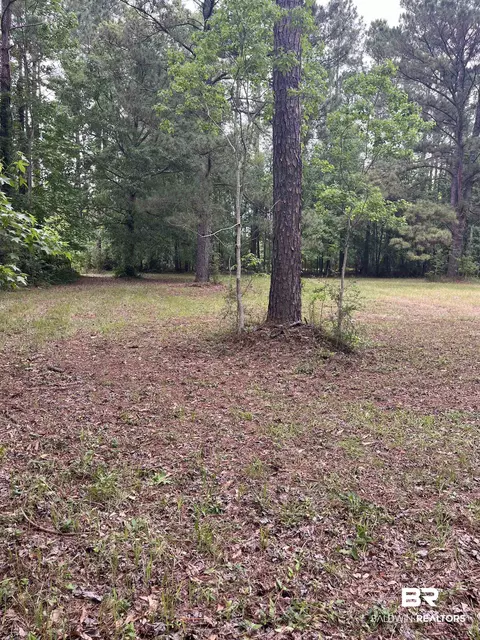 Ward Road, Stapleton, AL 36527 photo 6