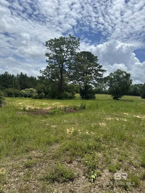 0 N Rock Creek Rd, Bradley, AL 36483