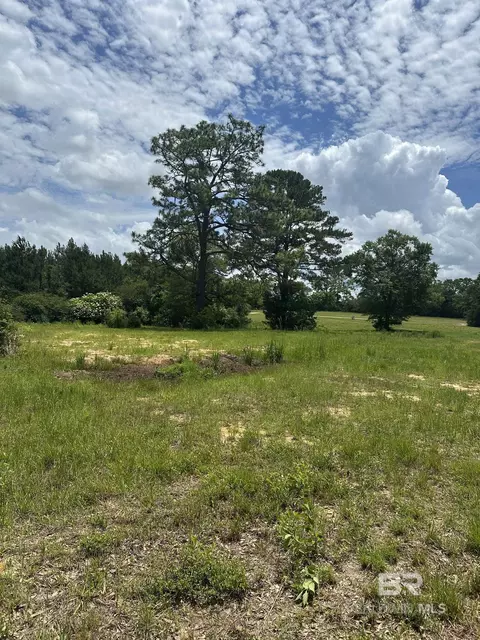 0 N Rock Creek Rd, Bradley, AL 36483