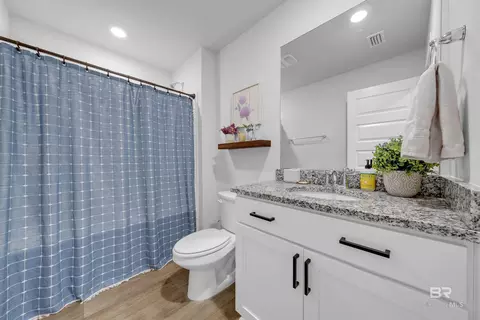 Bath - 11230 Elemis Dr, Daphne, AL 36526 photo 1 of 2