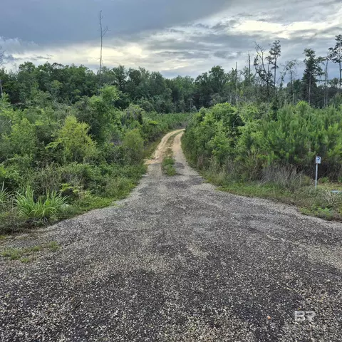 0 County Road 35, Evergreen, AL 36401