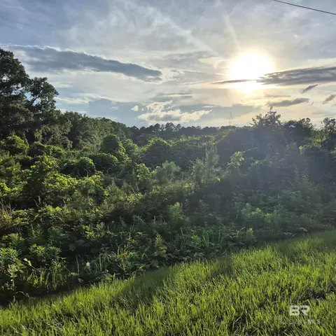 0 Brooklyn Rd, Evergreen, AL 36401