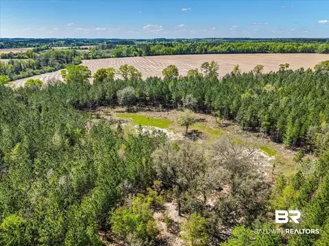 22544 Lechner Rd, Robertsdale, AL 36567
