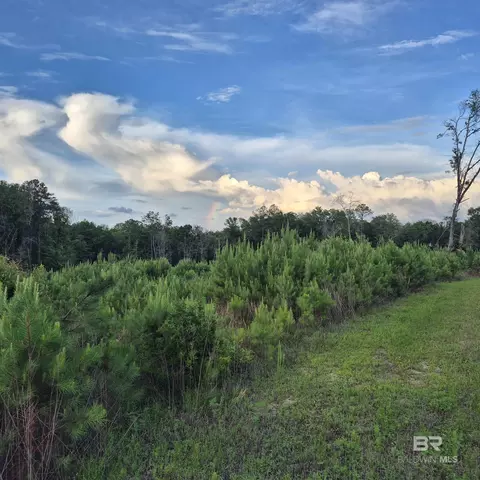 000 Brooklyn Rd, Evergreen, AL 36401
