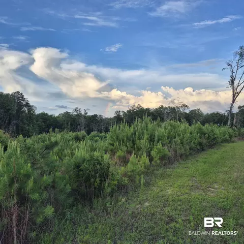 01 Brooklyn Rd, Evergreen, AL 36401