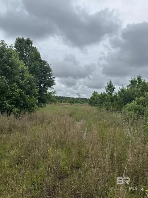 0 E County Road 214, Selma, AL 36701