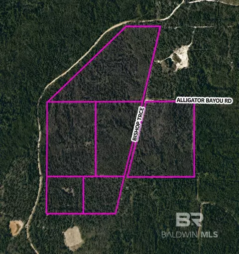 0 Bishop Trce, Lillian, AL 36549