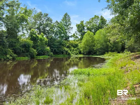 2029 George Lee Rd, Repton, AL 36475 photo 47