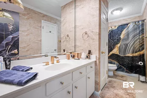 Bath - 1255 Spring Valley Dr, Mobile, AL 36693 photo 6 of 7