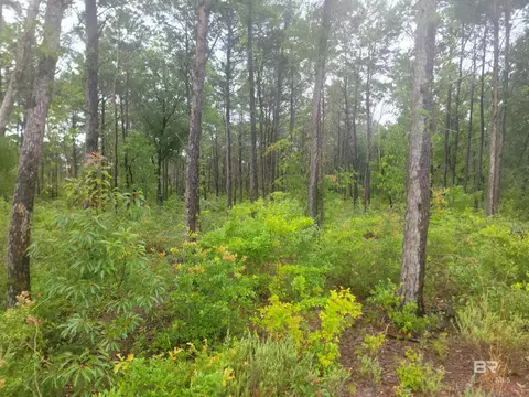 0 Primrose Ln, Gulf Shores, AL 36542