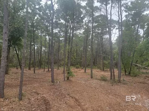 0 Primrose Ln, Gulf Shores, AL 36542