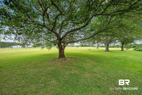 Exterior - 17501 Francis Harrell Rd # A, Elberta, AL 36530 photo 27 of 29
