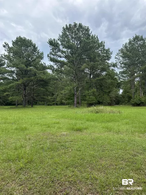 40140 Dogwood Fork Rd, Bay Minette, AL 36507