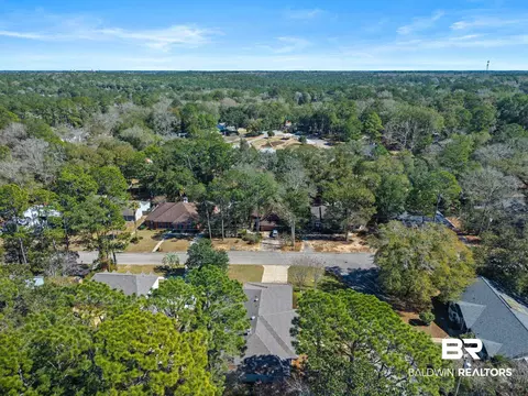 View/Area - 100 Dewitt Cir, Daphne, AL 36526 photo 7 of 15