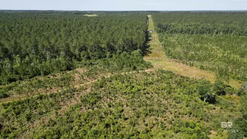 0 County Road 87, Elberta, AL 36530 photo 11