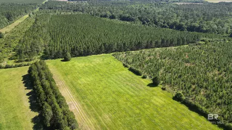 0 County Road 87, Elberta, AL 36530 photo 10