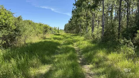 0 County Road 87, Elberta, AL 36530 photo 28