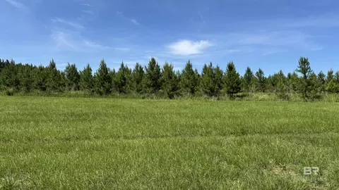 0 County Road 87, Elberta, AL 36530 photo 38