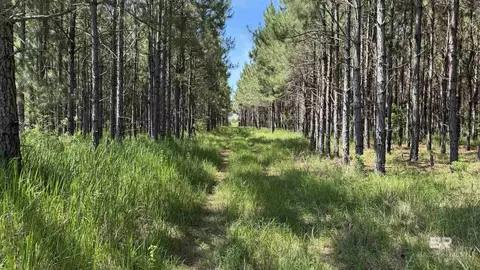0 County Road 87, Elberta, AL 36530 photo 33