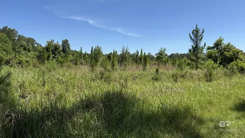 0 County Road 87, Elberta, AL 36530 photo 31