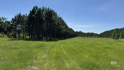 0 County Road 87, Elberta, AL 36530 photo 36