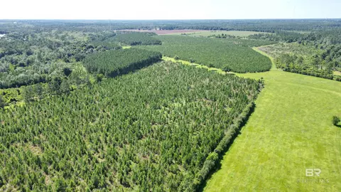 0 County Road 87, Elberta, AL 36530 photo 18