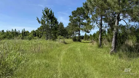 0 County Road 87, Elberta, AL 36530 photo 34