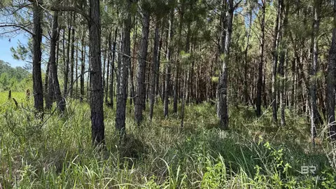 0 County Road 87, Elberta, AL 36530 photo 32