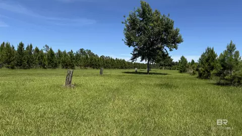 0 County Road 87, Elberta, AL 36530 photo 35