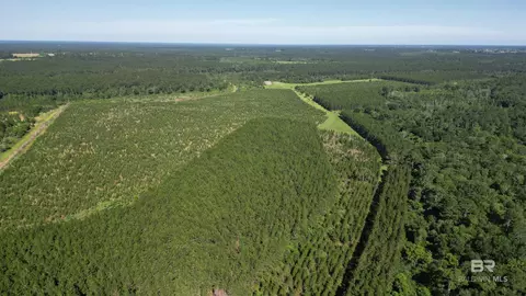 0 County Road 87, Elberta, AL 36530 photo 46