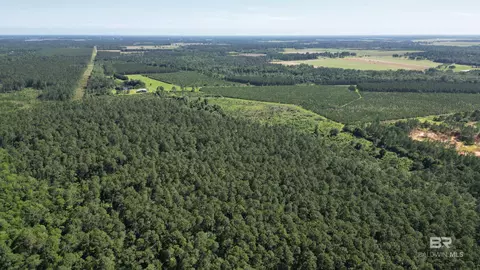 0 County Road 87, Elberta, AL 36530 photo 15