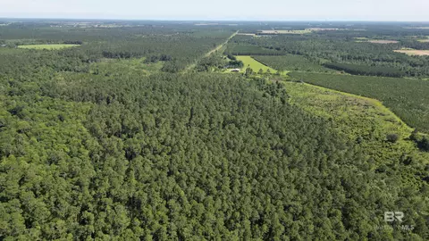 0 County Road 87, Elberta, AL 36530 photo 16