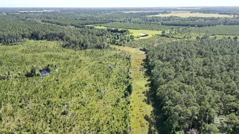 0 County Road 87, Elberta, AL 36530 photo 12
