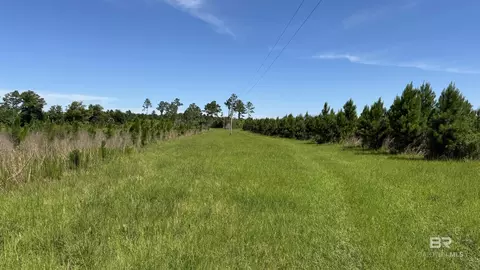 0 County Road 87, Elberta, AL 36530 photo 41