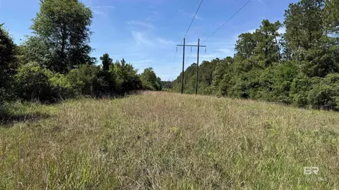 0 County Road 87, Elberta, AL 36530 photo 29