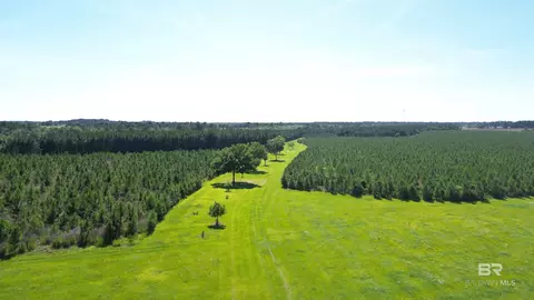 0 County Road 87, Elberta, AL 36530 photo 2