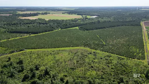 0 County Road 87, Elberta, AL 36530