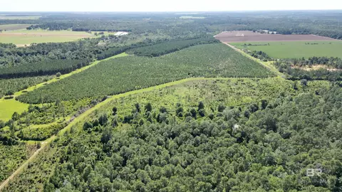 0 County Road 87, Elberta, AL 36530 photo 7