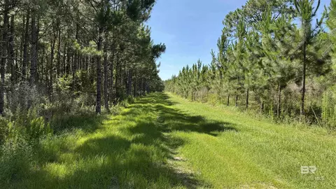 0 County Road 87, Elberta, AL 36530 photo 39