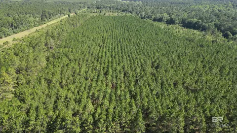0 County Road 87, Elberta, AL 36530 photo 17