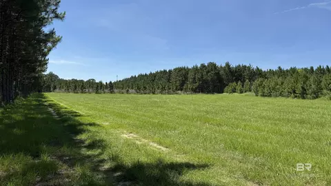 0 County Road 87, Elberta, AL 36530 photo 37