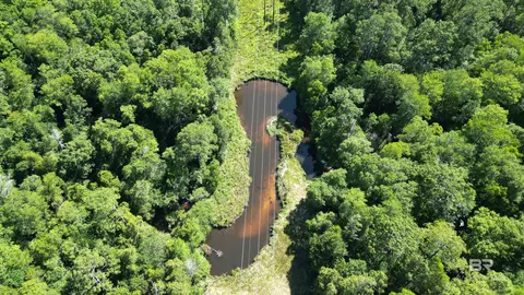 0 County Road 87, Elberta, AL 36530 photo 13