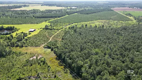 0 County Road 87, Elberta, AL 36530 photo 8