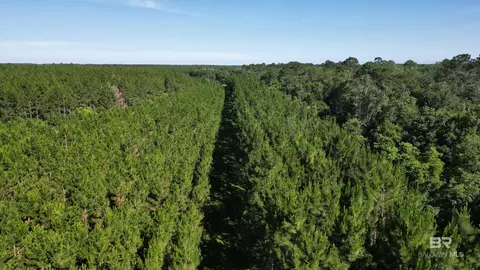 0 County Road 87, Elberta, AL 36530 photo 45