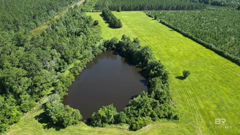 0 County Road 87, Elberta, AL 36530 photo 3