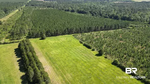 0 County Road 87, Elberta, AL 36530 photo 10