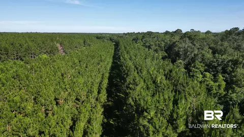 0 County Road 87, Elberta, AL 36530 photo 45